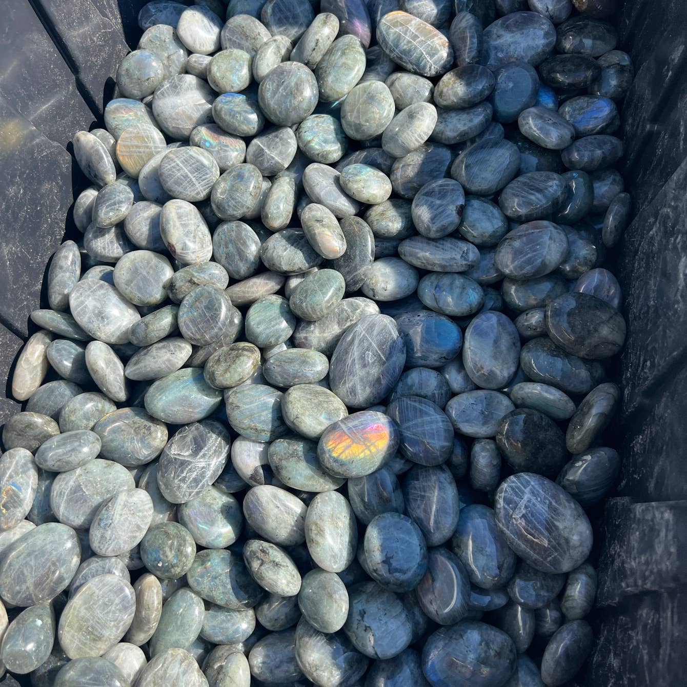 Labradorite Crystal Palm Stone