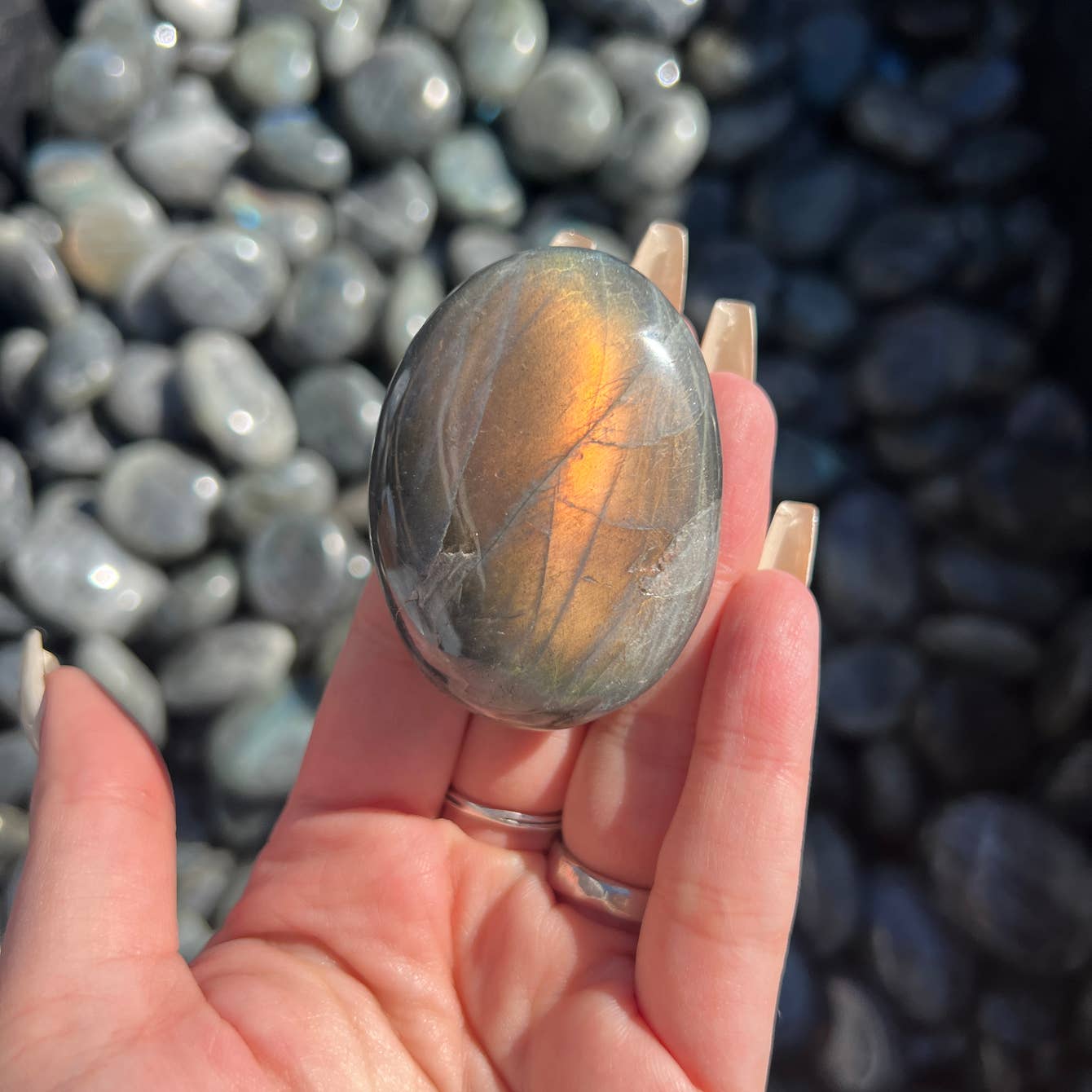 Labradorite Crystal Palm Stone