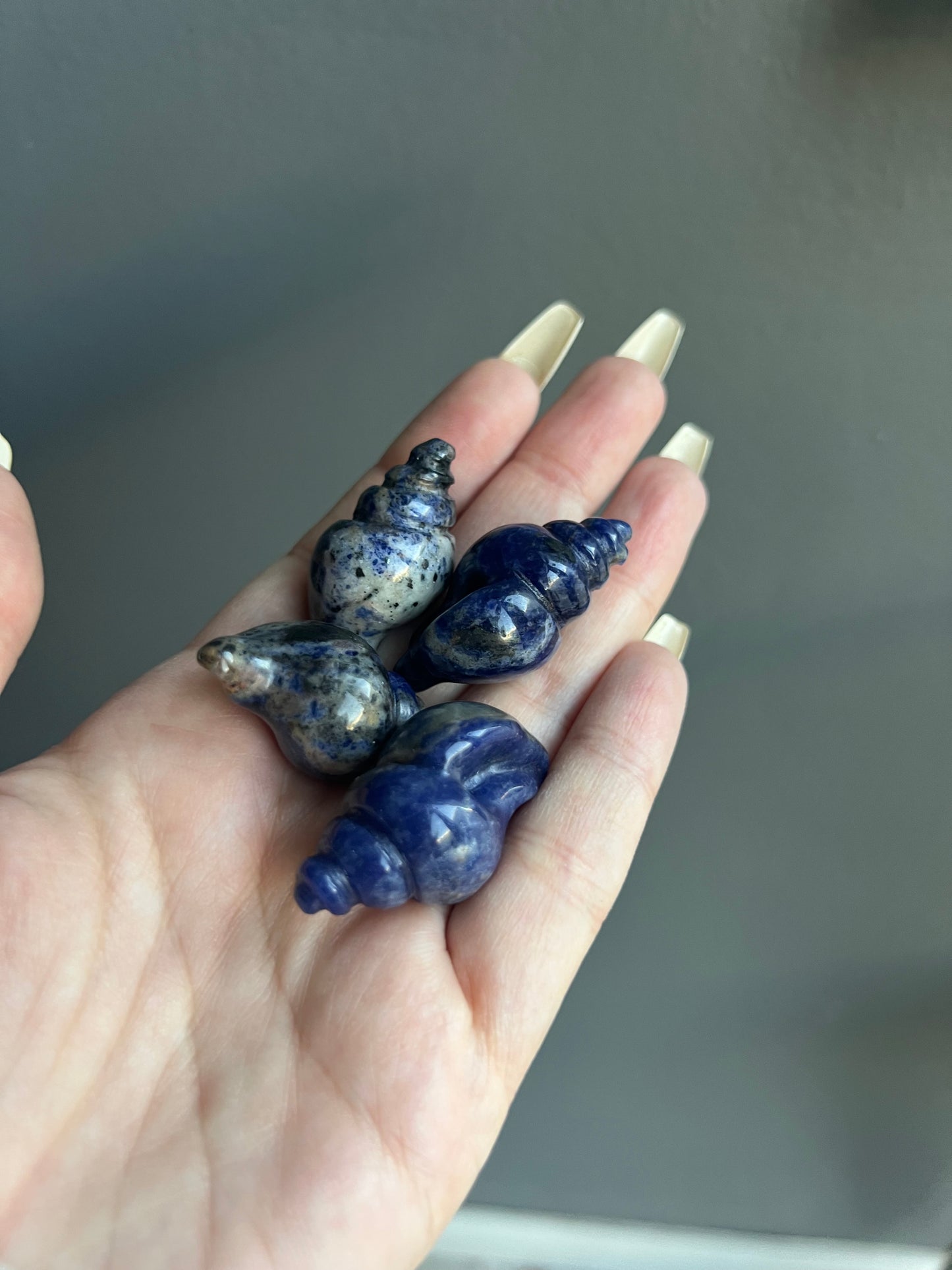 Sea Shell Crystal Carving