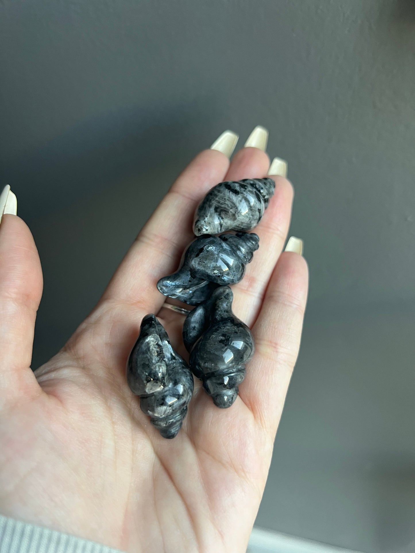 Sea Shell Crystal Carving