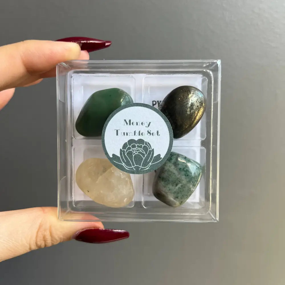 Money crystal set of four tumbled stones in a clear box
