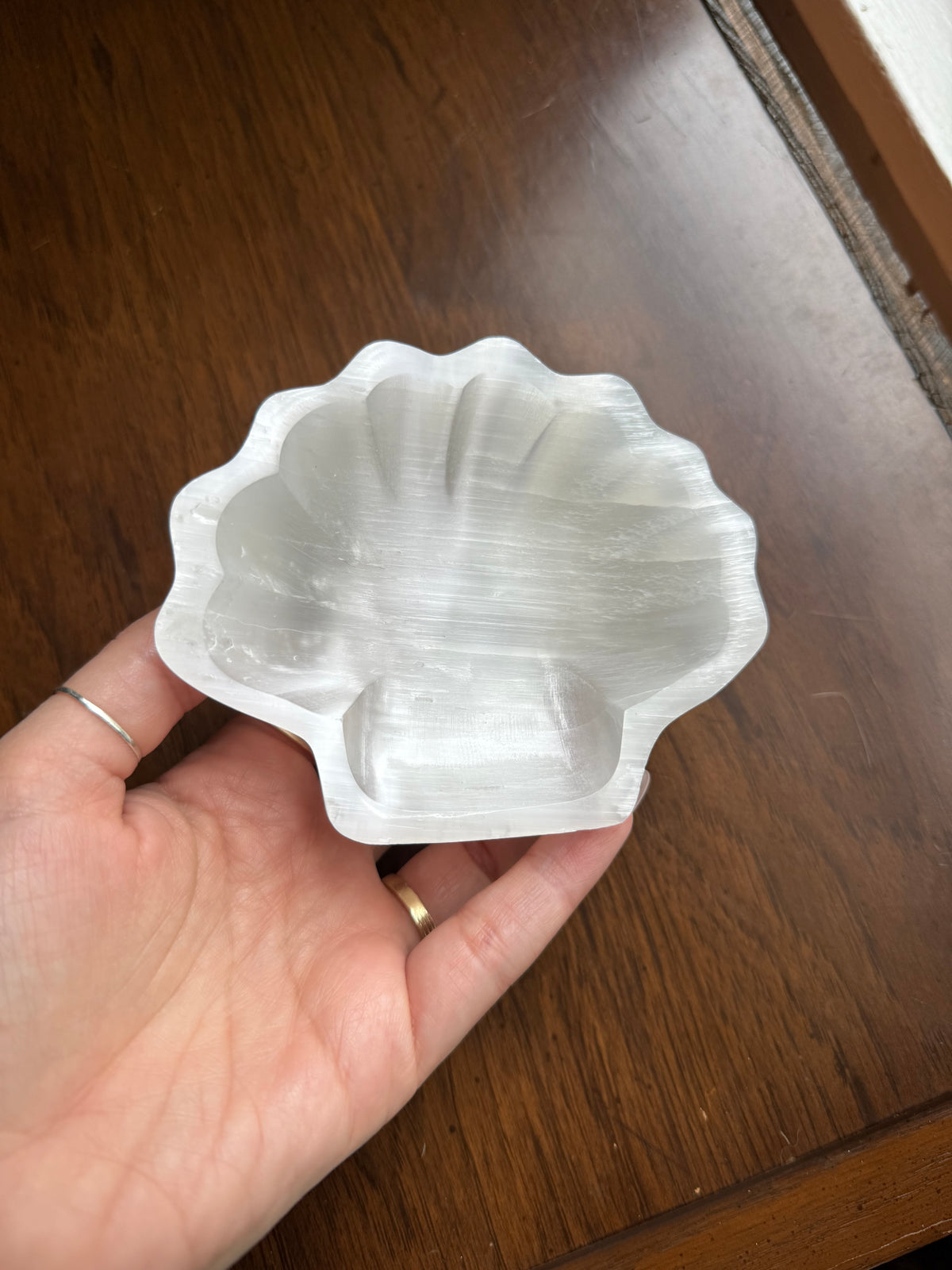 Polished selenite scalloped seashell bowl from above