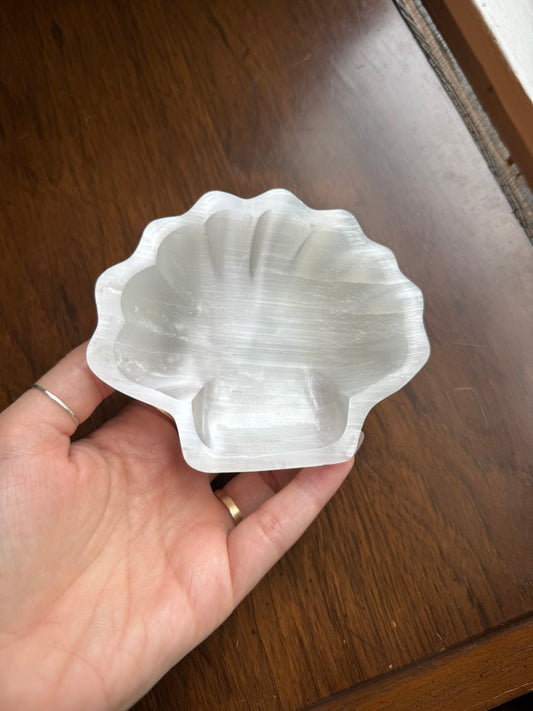 Polished selenite scalloped seashell bowl from above