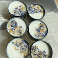 4oz white soy candle with citrine crystals, dried petals, and leaves in silver tin