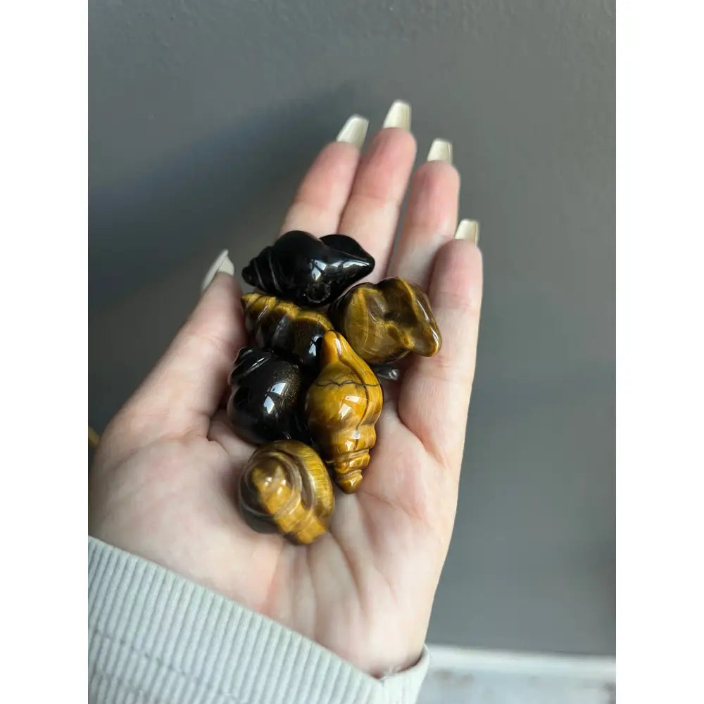 Golden black seashell earrings with 1 inch calming crystal carving for tranquility