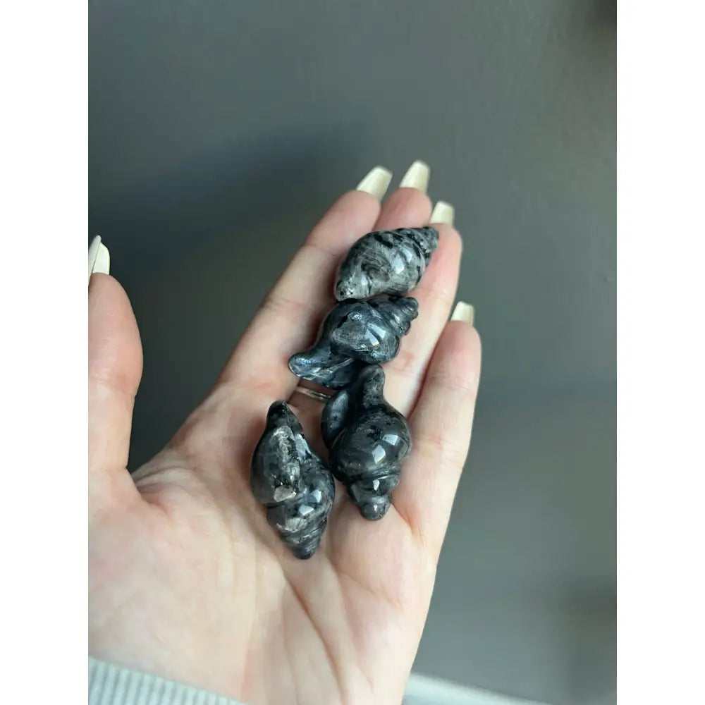 Hand holding black seashell collection, 1 inch calming crystal carving for tranquility