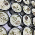 4oz Basil and Garden Quartz white mushroom candle tin with silver lid and green herb topping
