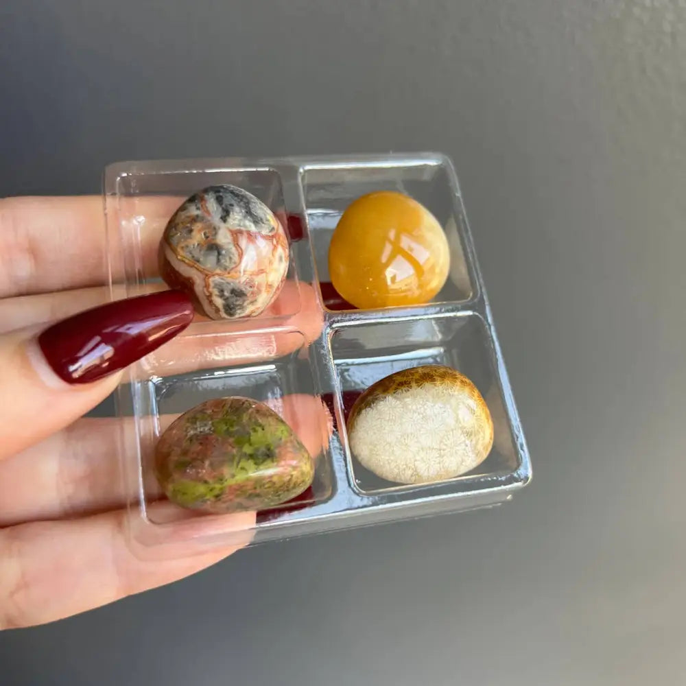 Small tumbled stone collection in four-compartment clear display case