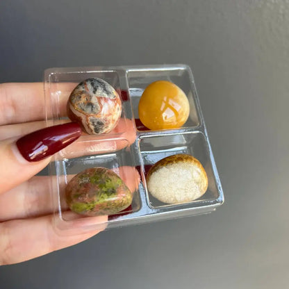 Small tumbled stone collection in four-compartment clear display case