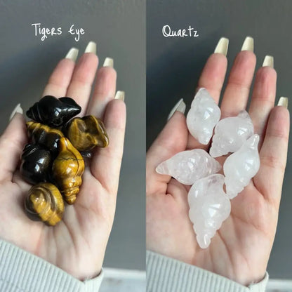 Natural Crystal Shells Ocean set of three with tiger eye stones