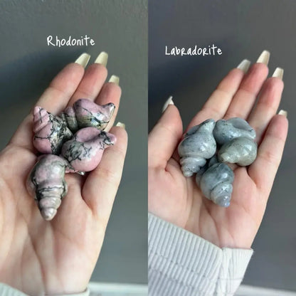 Rhodonite and labradorite natural crystal shells ocean collection set of three