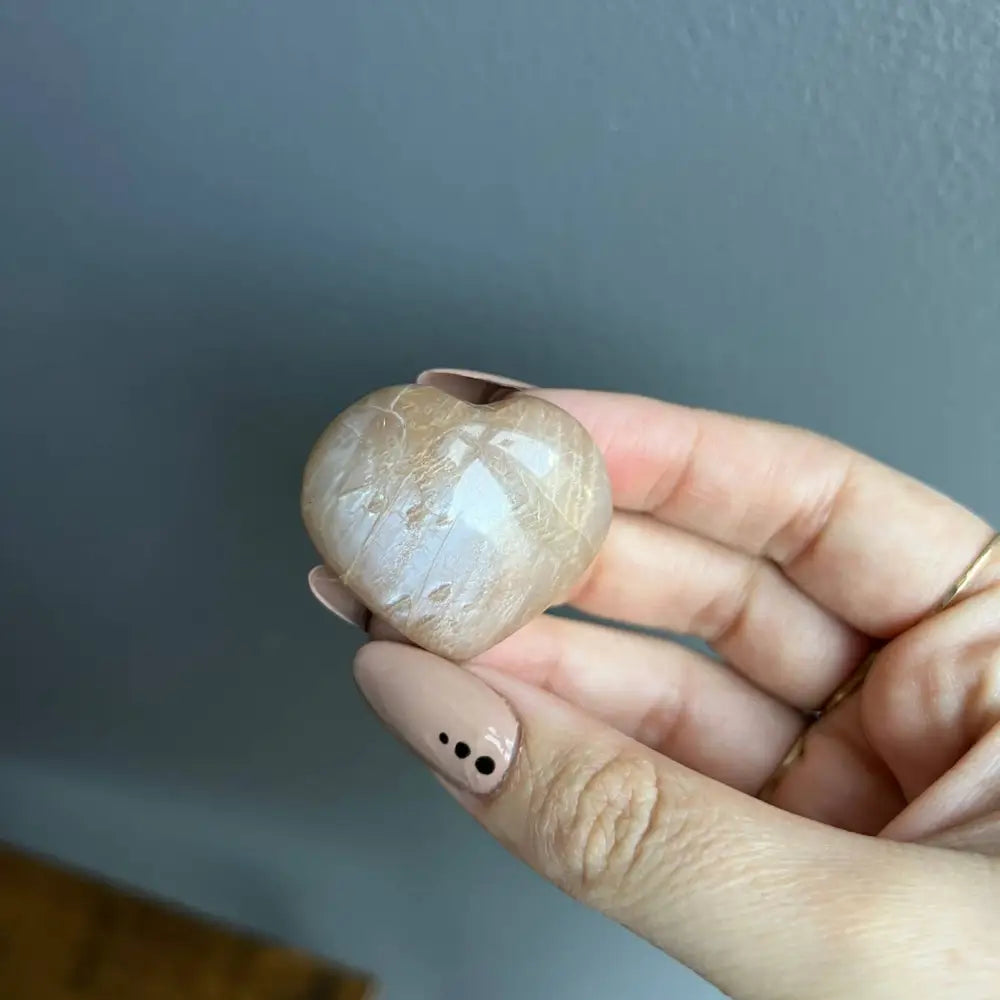 Beige white striped seashell carved into 1 inch natural heart