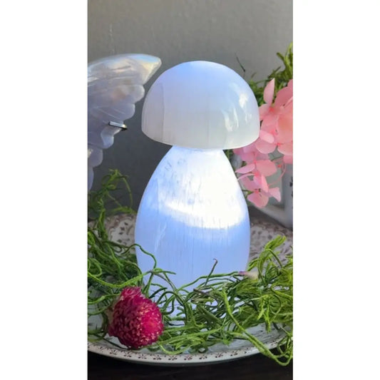 Selenite Mushroom Lamp: 4.5-inch white night light with frosted translucent cap